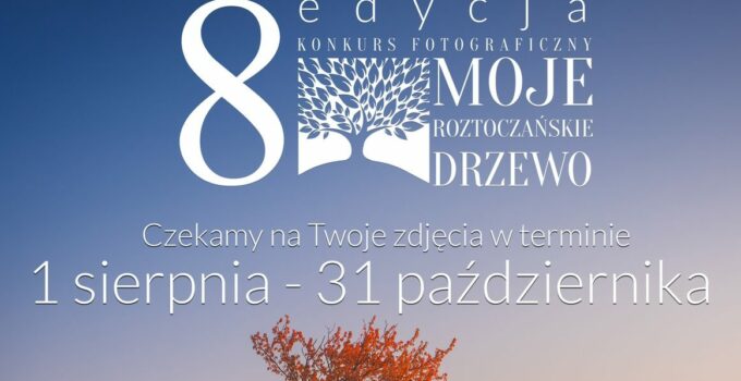 Moje roztoczańskie drzewo